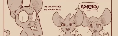 Foxes banner